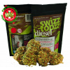 Diesel - swizztopzz gruppenbild_diesel_2020