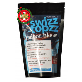 indoor bloom 8 gr - swizztopzz gruppenbild_indoorboom_2020
