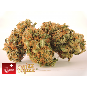 Diesel - swizztopzz diesel_blute_dscn1075_v2