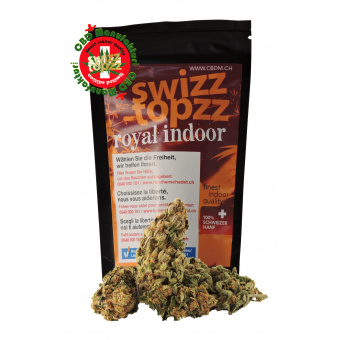 royal indoor - swizztopzz gruppenbild_indoorroyal_2020